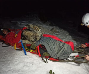 Loyal Dog Cuddles Injured Hiker On Snowy Mountain For 13 Hours To Keep Him Warm